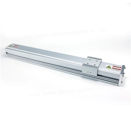 Modulu Lineari MGNS100F
